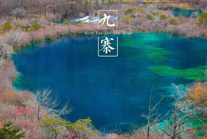 &#70;&#71;&#30005;&#23376;&#40;&#20013;&#22269;&#28216;&#41;&#23448;&#26041;&#32593;&#31449;