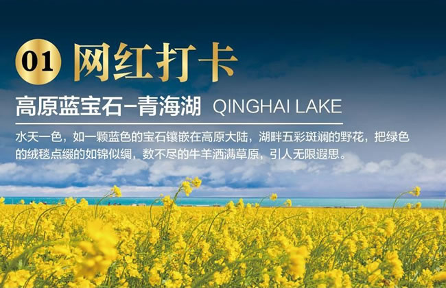 &#70;&#71;&#30005;&#23376;&#40;&#20013;&#22269;&#28216;&#41;&#23448;&#26041;&#32593;&#31449;