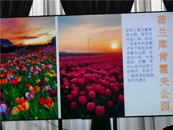 四川中青旅绵阳(yáng)分(fèn)社(shè)独家定(dìng)制圆梦欧洲系列 - 大全景 9 国 16 天 德国-法国-瑞士(shì)-意(yì)大(dà)利-奥地利-荷兰(lán)-比利时(shí)-列(liè)支敦士登-卢森堡