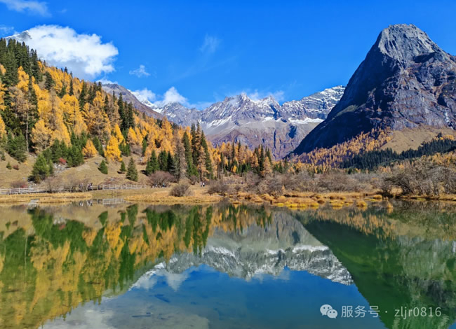 &#70;&#71;&#30005;&#23376;&#40;&#20013;&#22269;&#28216;&#41;&#23448;&#26041;&#32593;&#31449;